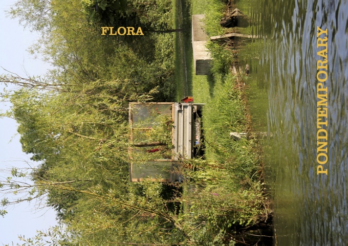 Flora Pondtemporary - Nicole Krenn